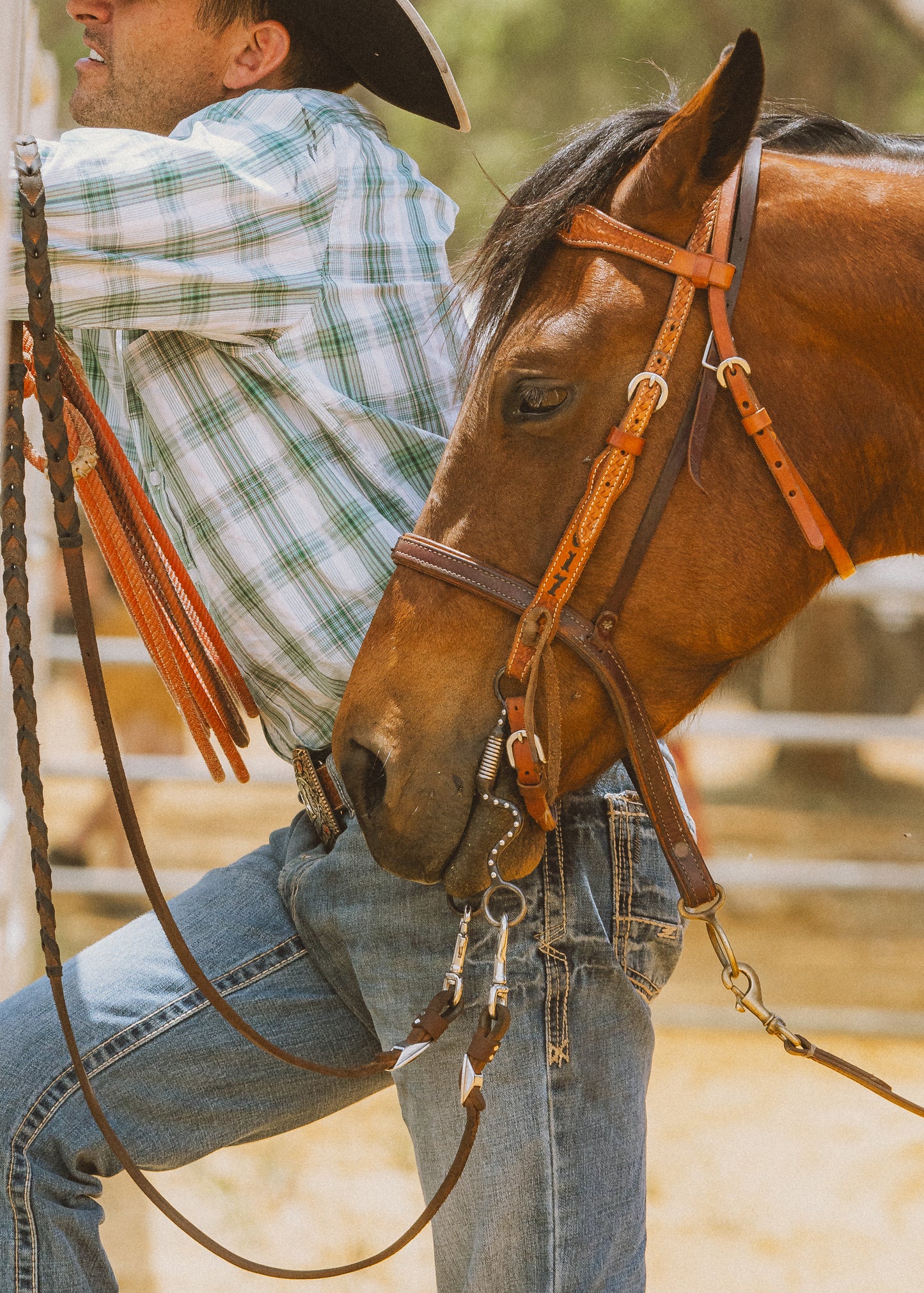 Stockman & His Horse