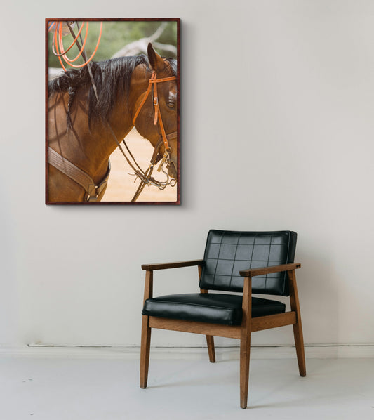 Details of a Stockhorse