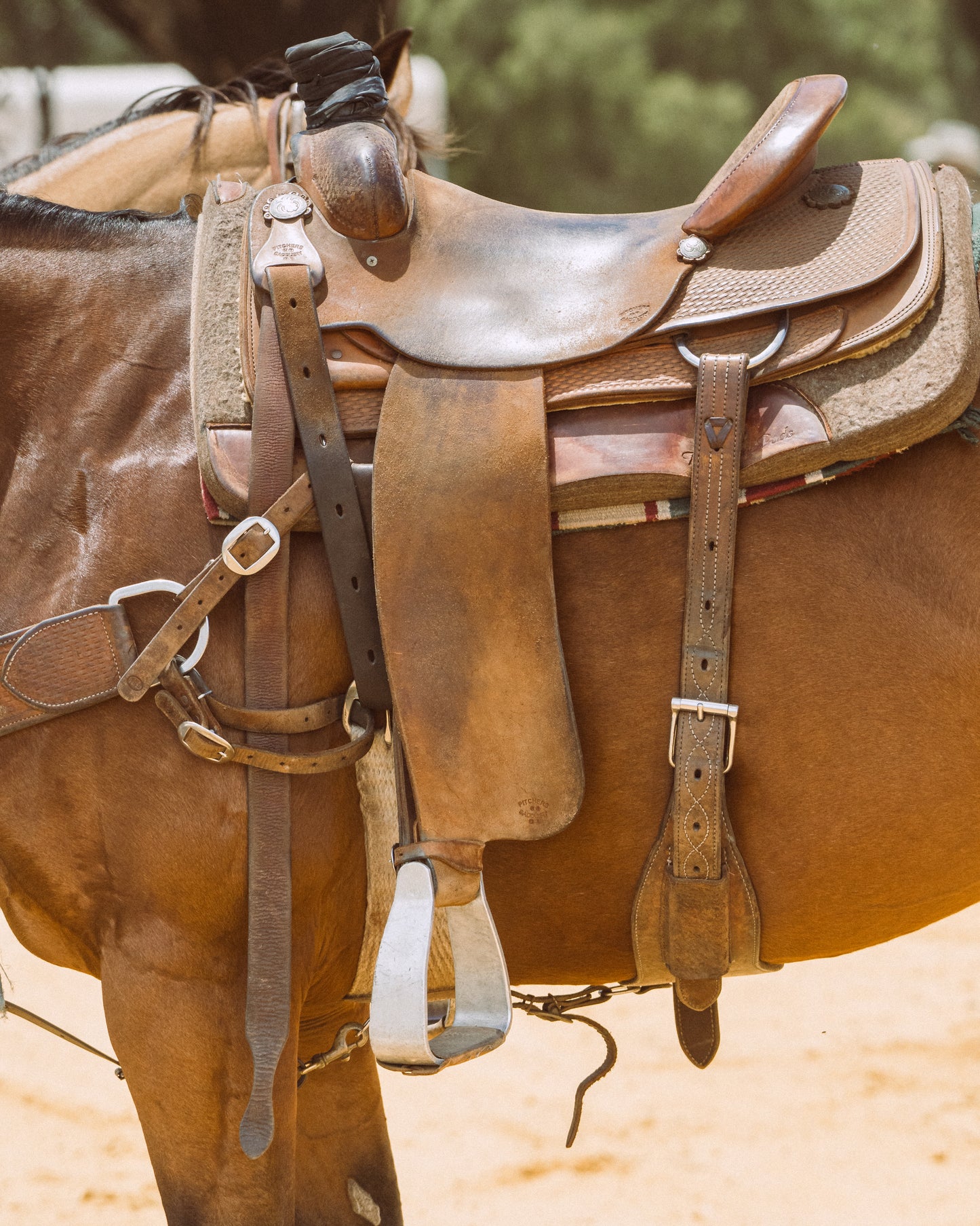 Stockhorse Gear